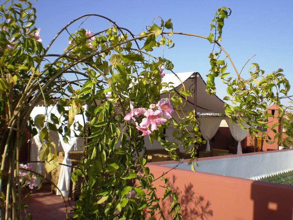 Riad Mariana Marakéš Exteriér fotografie